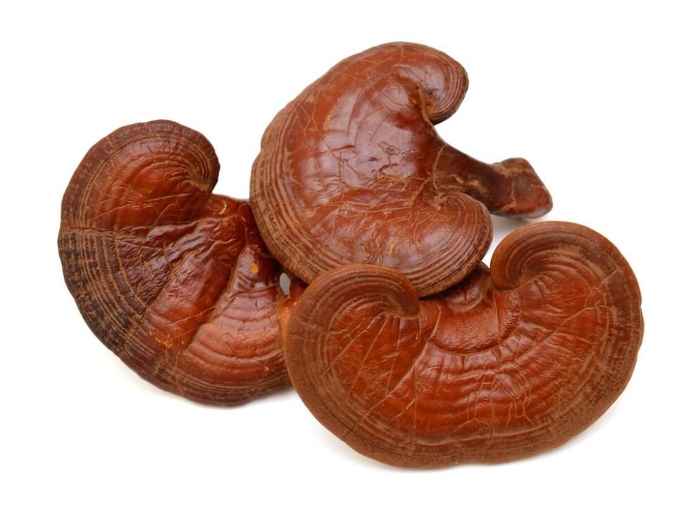 Weiprost contient des champignons Reishi